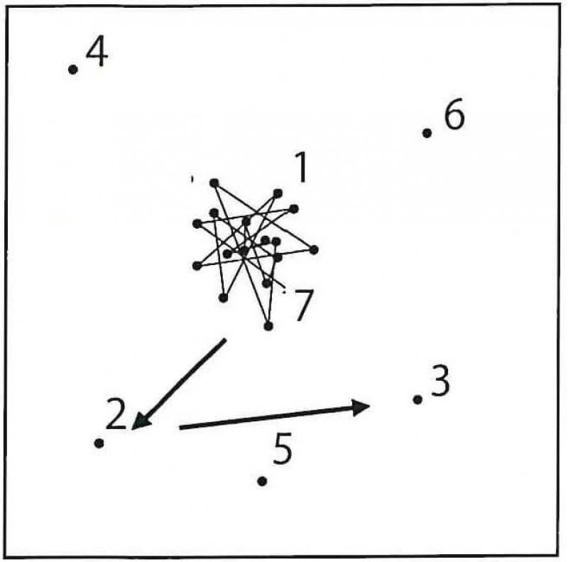 0-random-walk-schematic